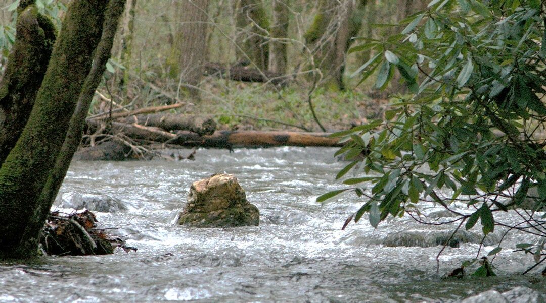 Devenir des rochers dans la rivière