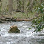 Devenir des rochers dans la rivière