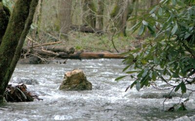 Devenir des rochers dans la rivière