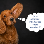 Ecouter, un voyage au cœur de l’autre