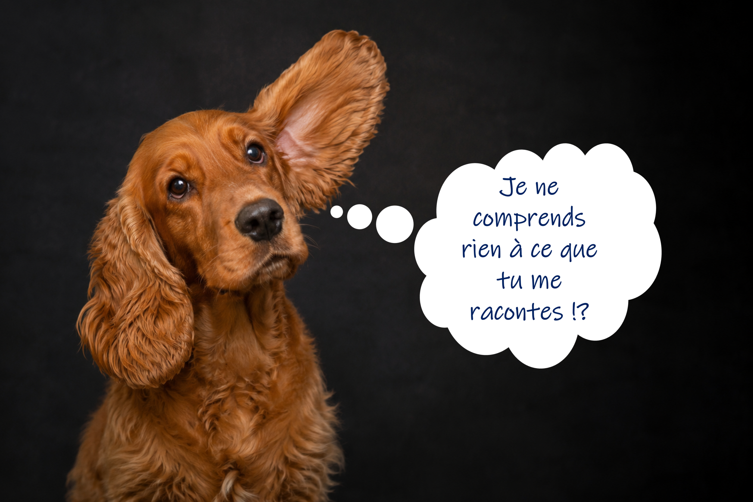 Ecouter, un voyage au cœur de l’autre