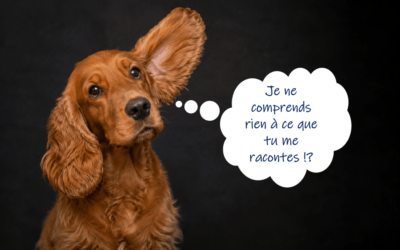 Ecouter, un voyage au cœur de l’autre
