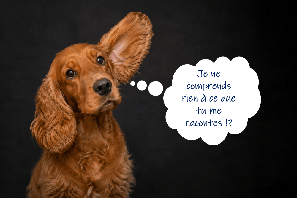 Ecouter, un voyage au cœur de l’autre